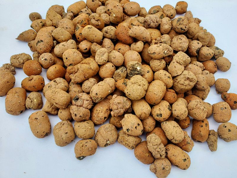 cultivo Clay Pebbles 1Kg Regular Round Rock Pebbles  (Brown 1 kg)