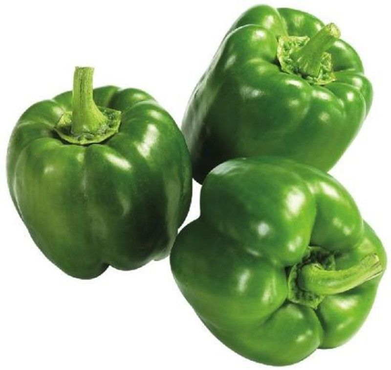 Paudha Green Capsicum (shimla mirch) Seed  (36 per packet)