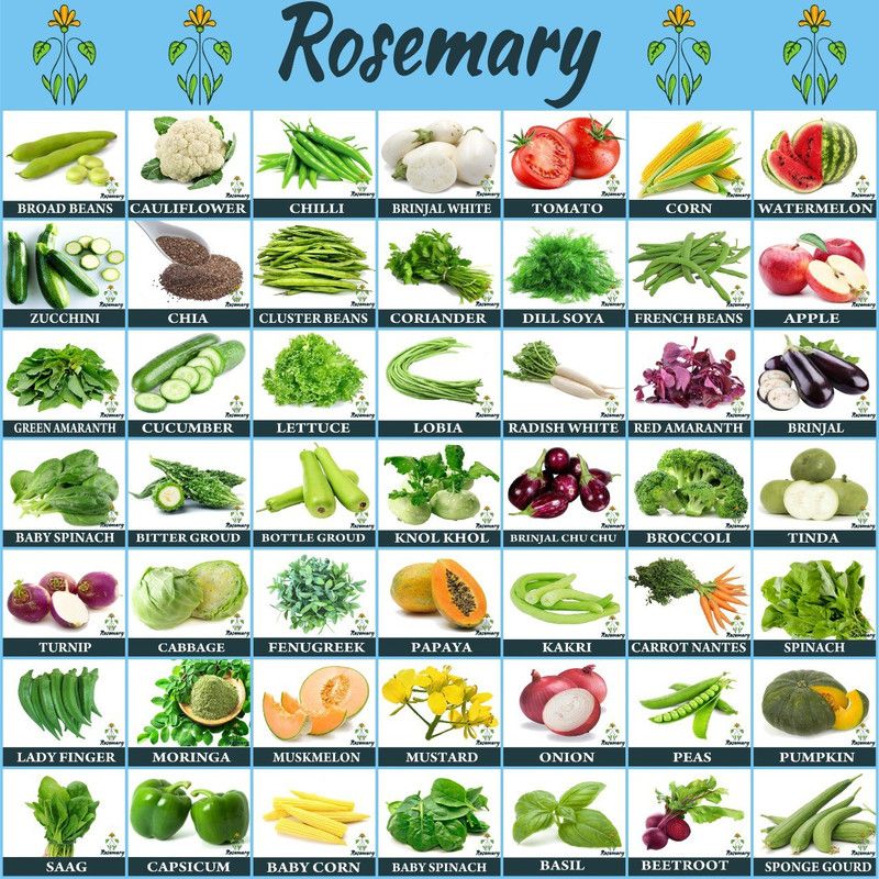 Rosemary Vegetables & Fruit Seeds Combo 50 Varieties In one Pack Grow Your Own Garden Seed  (2600 per packet)