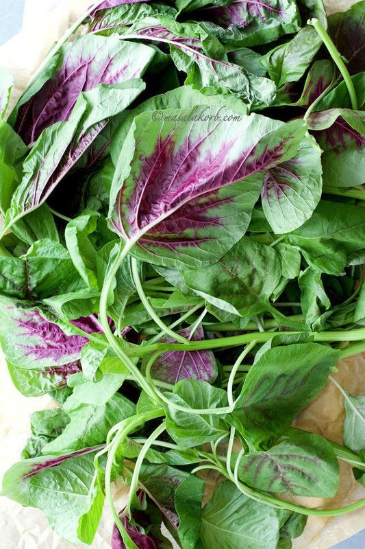 PLANTZON Tottakura/Amaranthus Seed  (45 per packet)