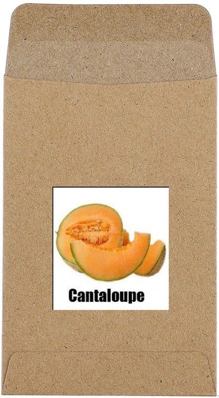 CYBEXIS Hybrid Cantaloupe Seeds400 Seeds Seed  (400 per packet)