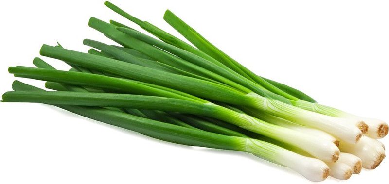 XOLDA Bunching Onion Vegetable Seed  (45 per packet)