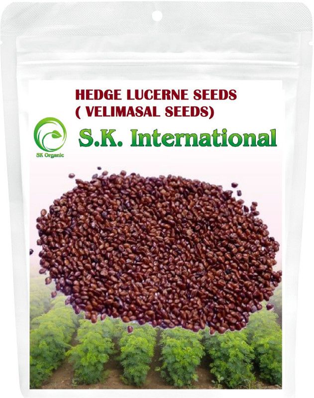 SK ORGANIC HEDGE LUCERNE (500 Gms) Velimasal/dasrath grass seeds Seed  (10000 per packet)
