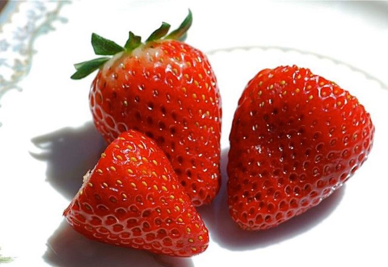 Nodoc Strawberry Seed  (50 per packet)