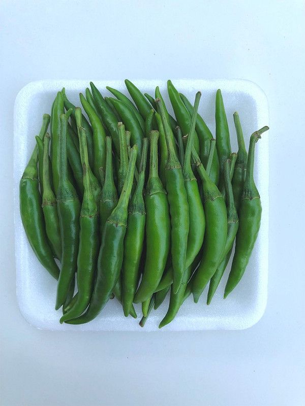 granthi Green Chilli Premium Grade Seed  (1200 per packet)