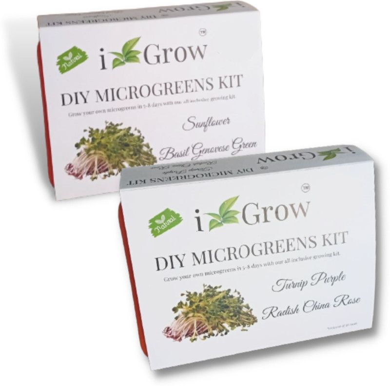 iGrow Unique DIY Microgreens Kit Seed  (40 g)