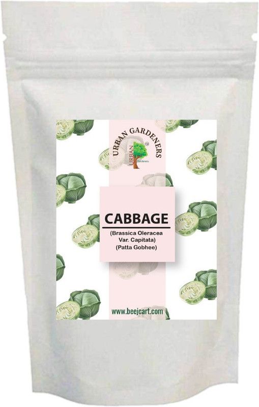 urban Gardeners Cabbage Seeds Seed  (200 per packet)