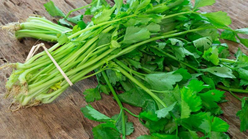 PMB Organic Coriander Seed  (28 per packet)