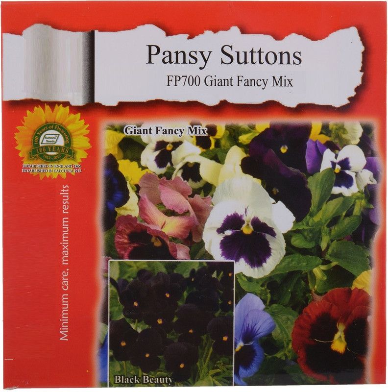 CYBEXIS Pansy Giant Fancy Mix Flower Seeds Seed  (1 g)