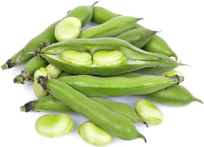 SimXotic Bakla Vegetable Quality Seeds - 30 Seeds Open Pollinated Seed  (30 per packet)