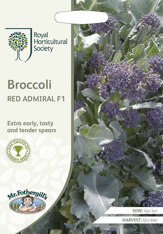 CYBEXIS Broccoli Red Admiral F1 Seeds2000 Seeds Seed  (2000 per packet)