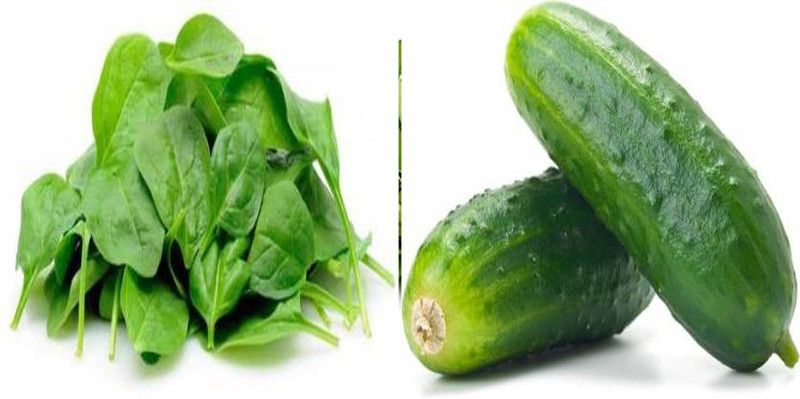 xcentax Cucumber, Imported Baby Spinach (Hybrid) Seed  (20 per packet)