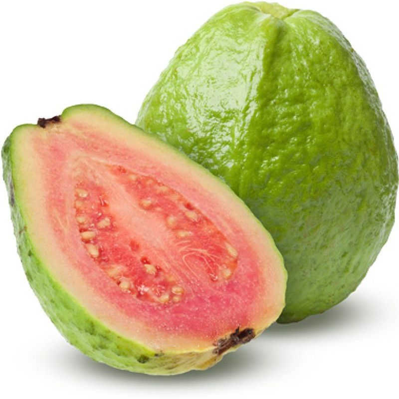 XOLDA Guava Seed  (40 per packet)