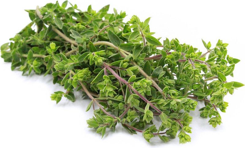 Mozette Marjoram Seed  (12 per packet)