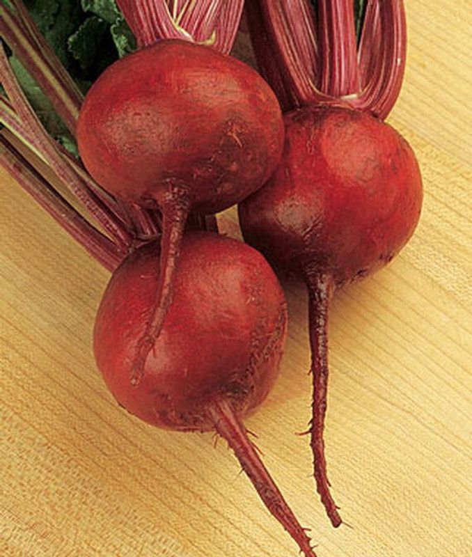 VibeX Beetroot Seed  (120 per packet)