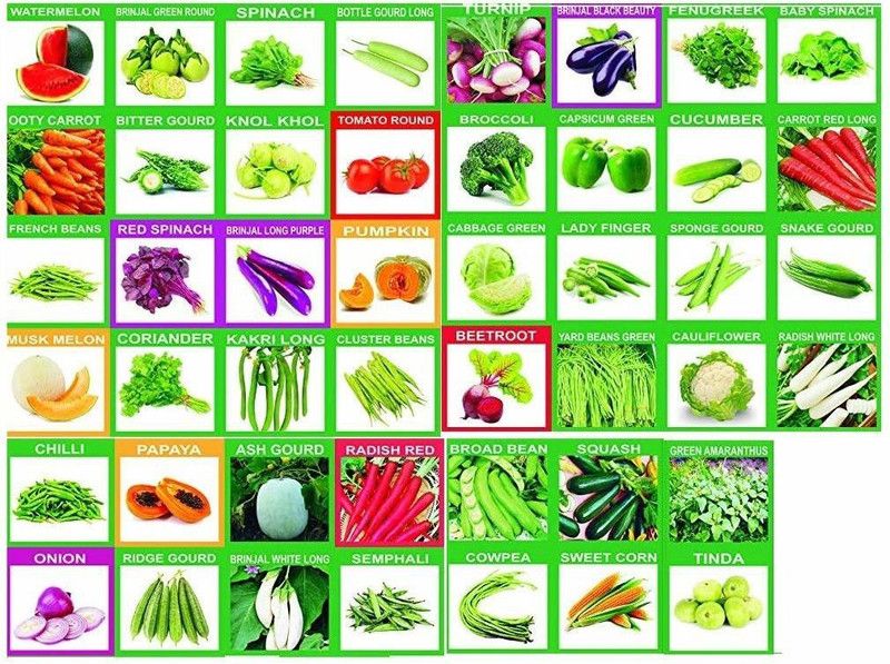 VibeX 46 Varieties(Organic/Hybrid) Fruits & Vegetables Seed Seed  (1575 per packet)