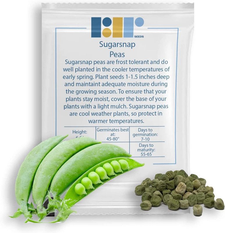 VibeX ® VLR-85 Sugar Snap Pea Seeds Seed  (50 per packet)