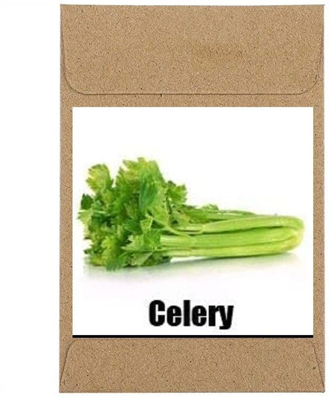 Qualtivate ® Guarenteed Germination Green Celery Seeds(750 Seeds) Seed  (750 per packet)