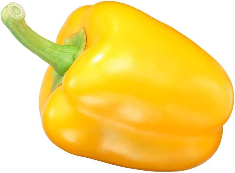 VibeX ® VMR-481 Golden California Wonder Capsicum Seeds Seed  (200 per packet)