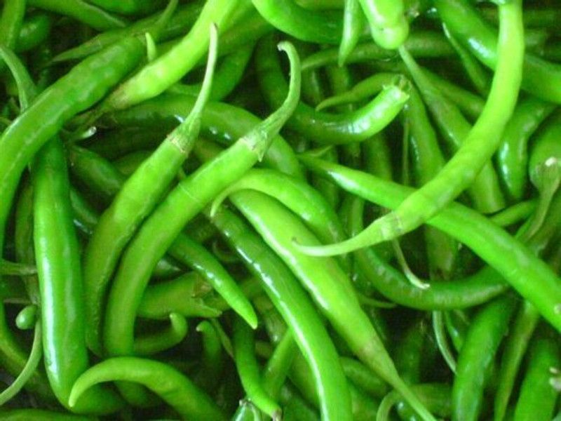 XOLDA Organic green chilli Seed  (26 per packet)