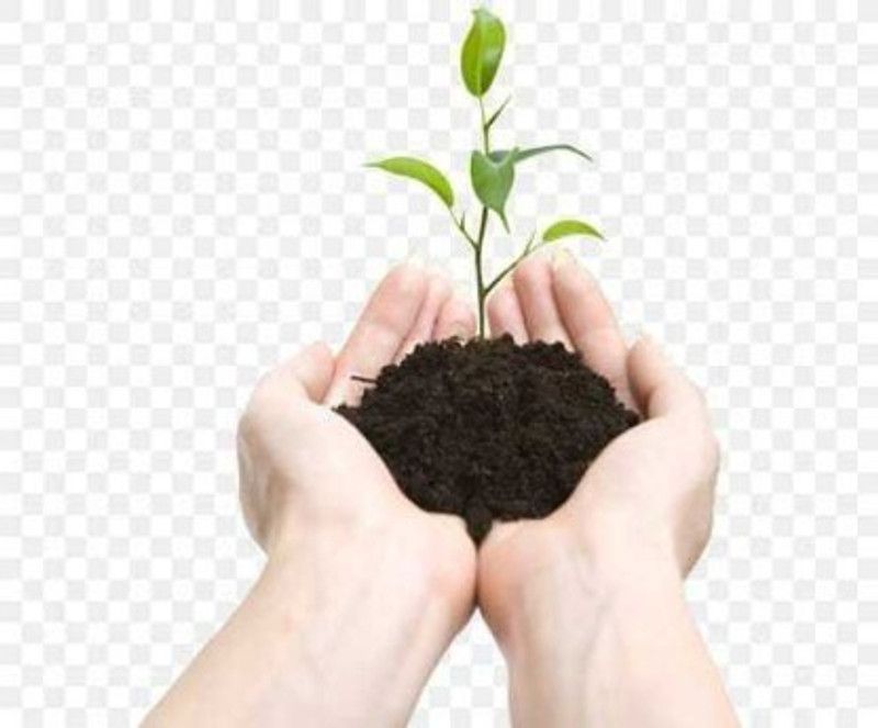 RUDRANSH Compost Fertilizer Potting Soil Mix for Agriculture Fertilizer for Plants (15kg) Potting Mixture  (15 kg, Powder)