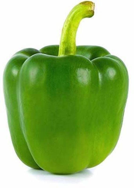 KANAYA Green Capsicum Seed  (90 per packet)
