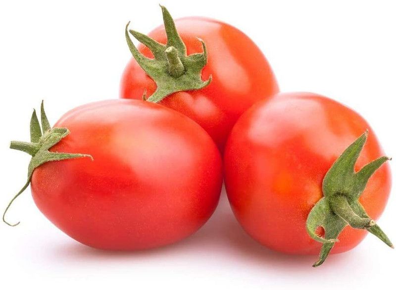 MKR Enterprises Tamatar Seed  (300 per packet)