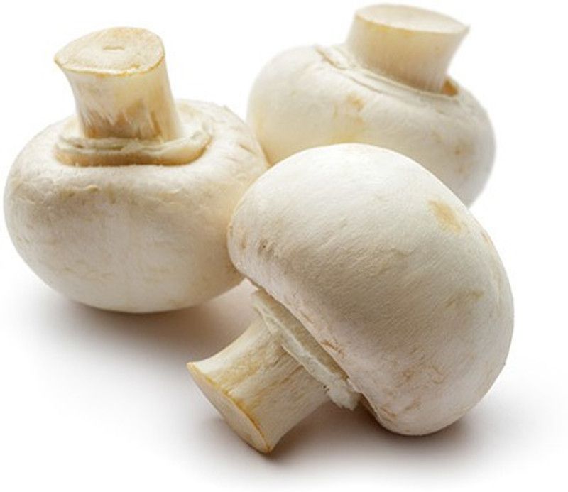 Paudha Mushroom Herb Seed  (10 per packet)