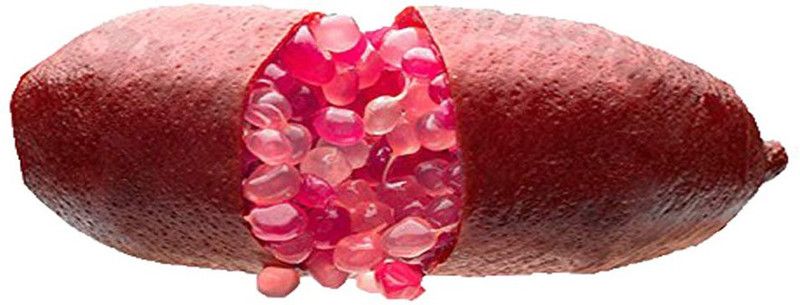 Nema Lime Finger Citrus Fruit Seeds-Pink-30Pcs Seed  (30 per packet)