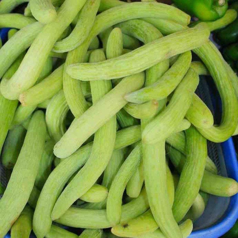 WILLVINE PUAS-13 Armenian Yard-Long Melon Cucumber Seed  (400 per packet)