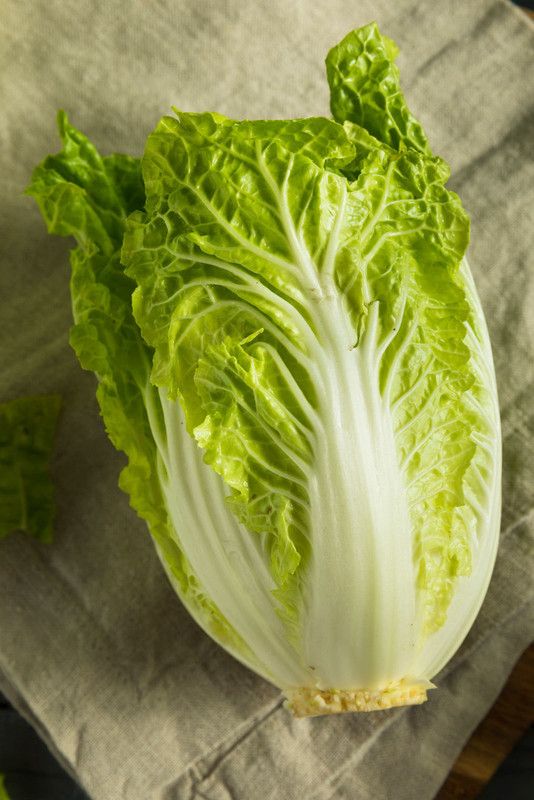 XOLDA Chinese Cabbage plant Seed  (51 per packet)
