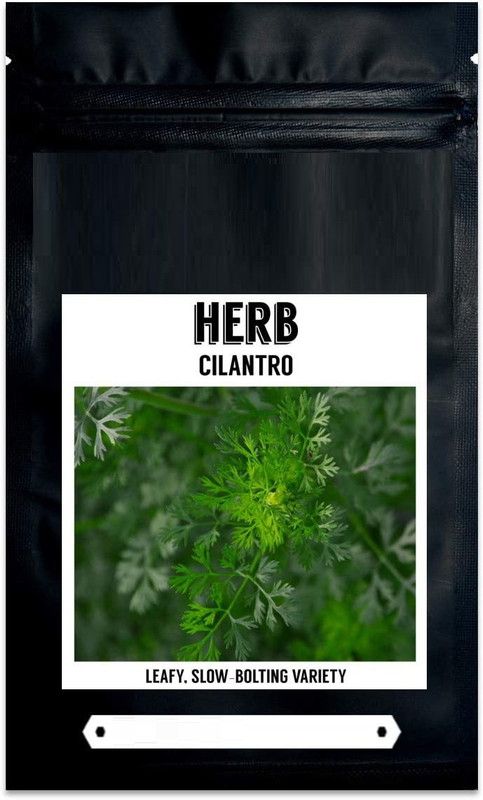 WILLVINE ATS-109 Certified Organic Cilantro Seeds-1000 Seed  (1000 per packet)