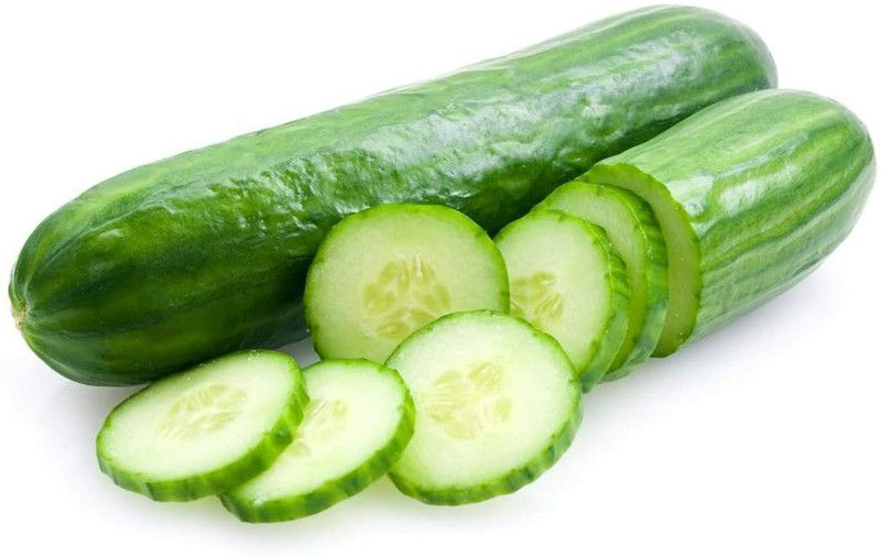 motrex Cucumber Straight Eight Seeds - Delicious Cucumbers Seed  (150 per packet)