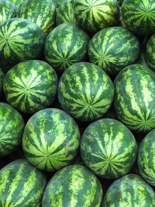 Paudha Watermelon Seed  (34 per packet)