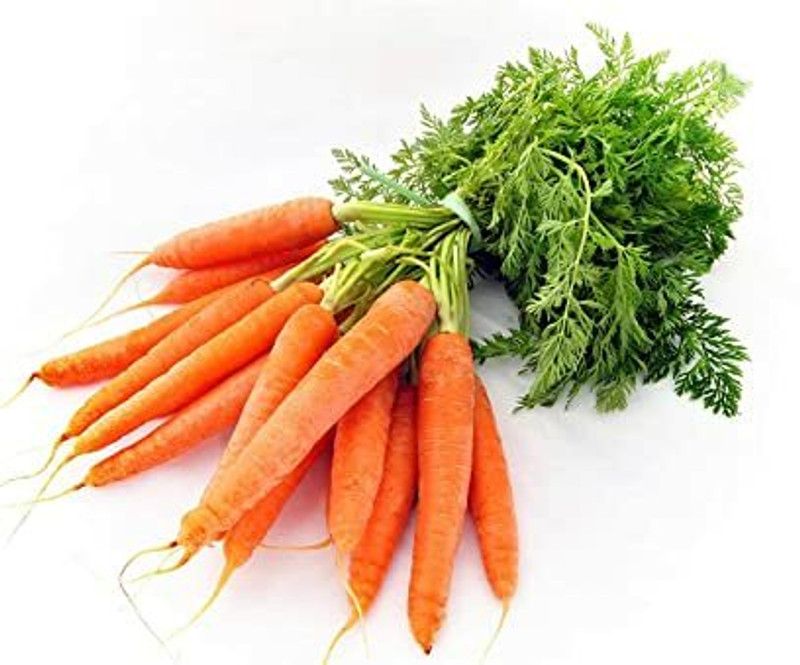 PMB Carrot Seed  (30 per packet)