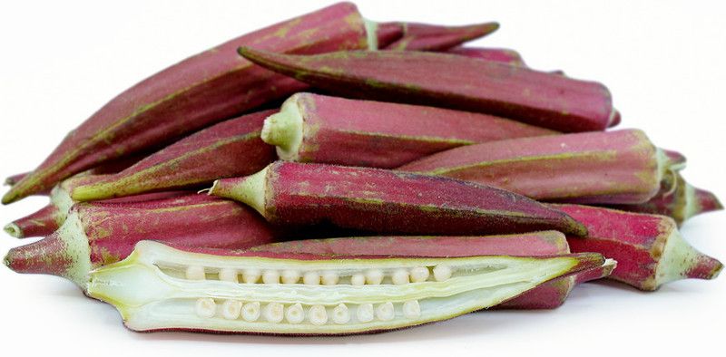 Mozette Organic okra red Seed  (21 per packet)