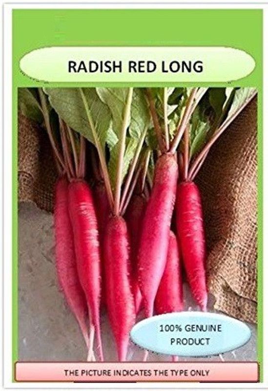 Qualtivate ™ LONG ORGANIC REDDISH RED F1 HYBRID SEEDS-250 Seed Seed  (250 per packet)