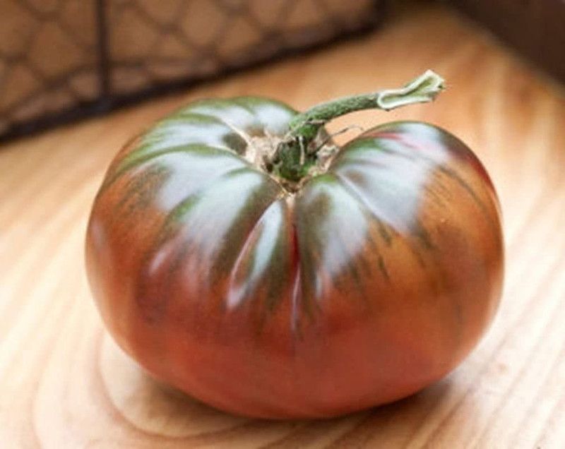 WILLVINE XLR-873 Black Carbon Tomato Seeds Seed  (200 per packet)