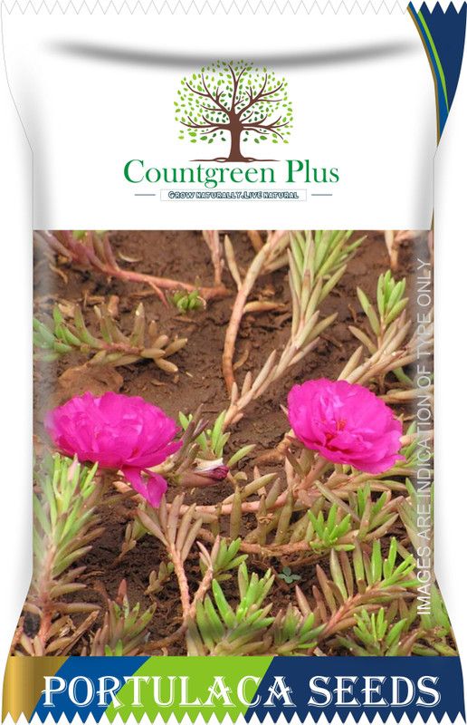 Countgreen Plus Portulaca Flower Seed  (500 per packet)