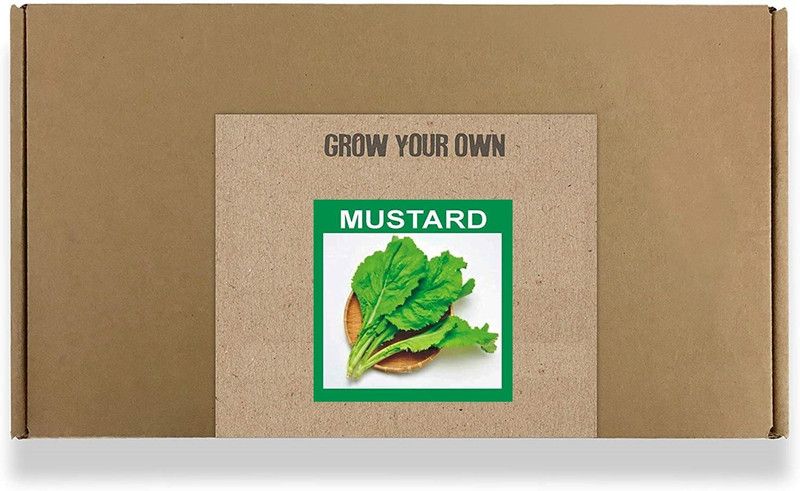 CYBEXIS Fast Germination Japanese Mizuna Mustard Seeds-1000 Seeds Seed  (1000 per packet)