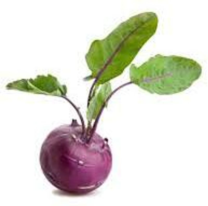 Mozette Organic knol knol purple Seed  (45 per packet)