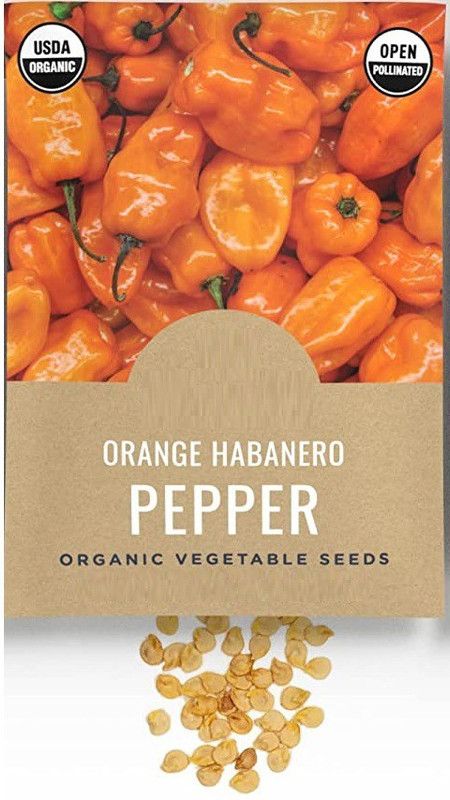 VibeX ® VMR-8 Orange Habanero Chilli Seeds Seed  (200 per packet)