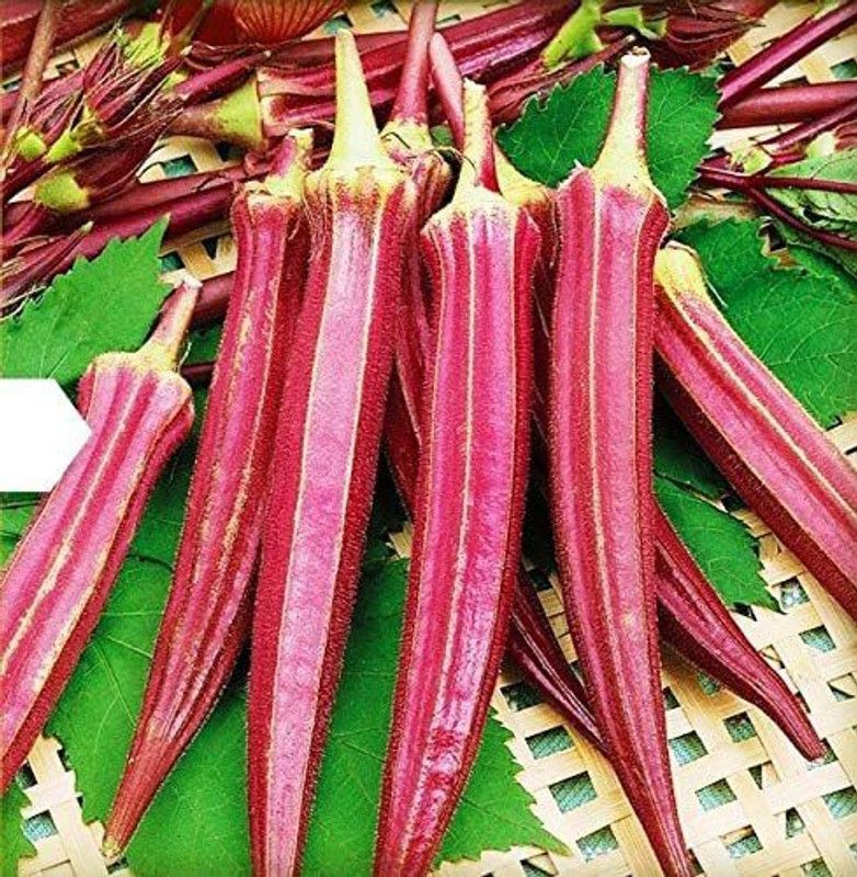MKR Enterprises Bhindi Seed  (360 per packet)