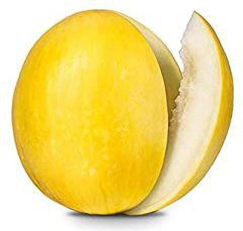 JRYU Muskmelon fruit home garden Seed  (240 per packet)