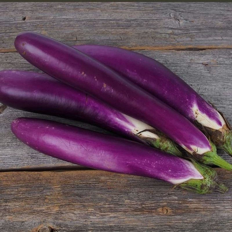 WILLVINE GBPUT-658 Eggplant Brinjal (Ping Tung Long Seeds) Seed  (200 per packet)