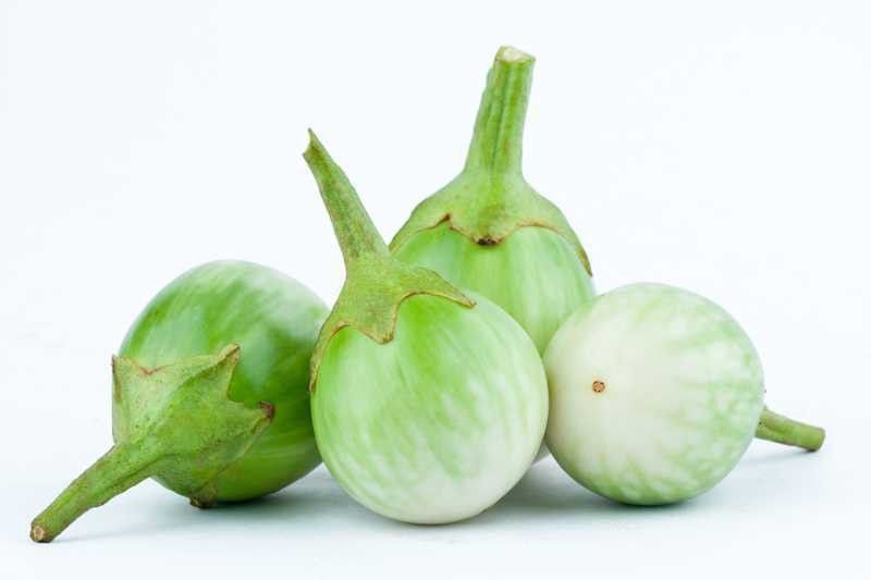 Nodoc Branjal green round Seed  (98 per packet)