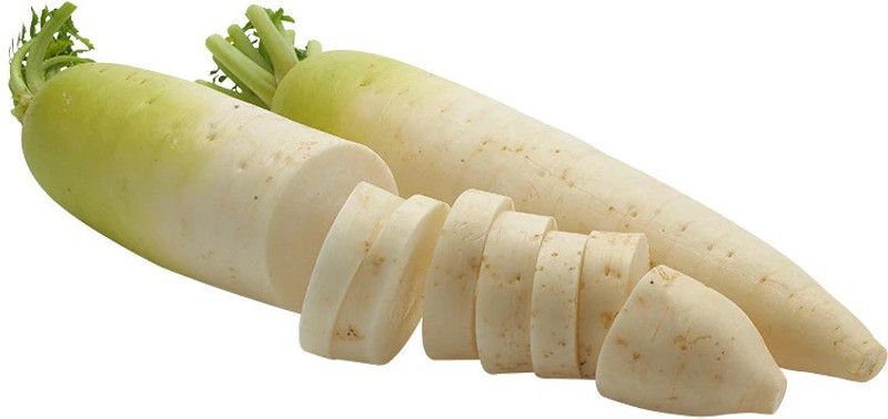 XOLDA Radish Seed  (38 per packet)