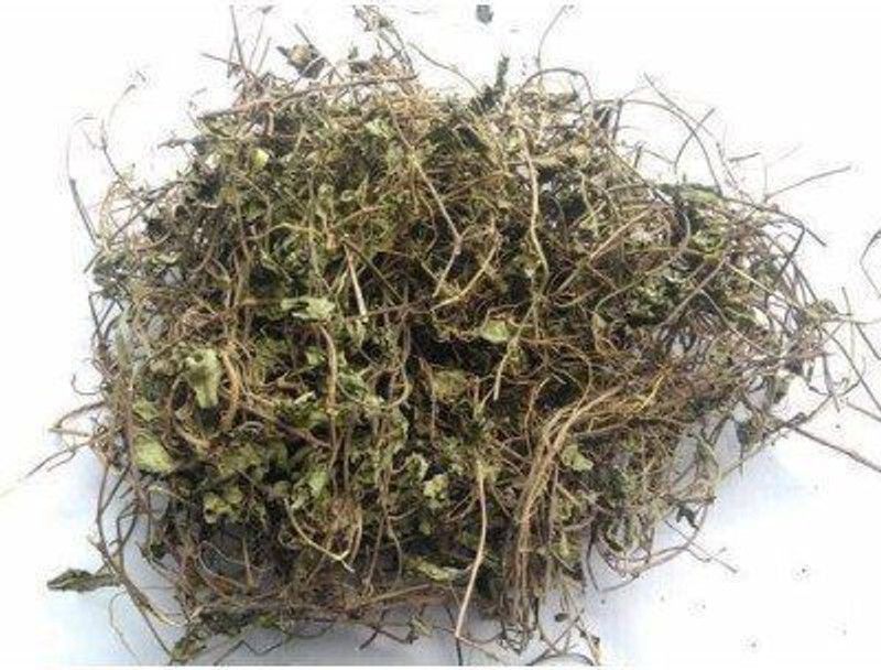 Dirghaanshi Dry Brahmi Leaves,Neerbrahmi,Water hyssop,Bacopa Monnieri,Birami,Jal Brahmi Seed  (100 g)