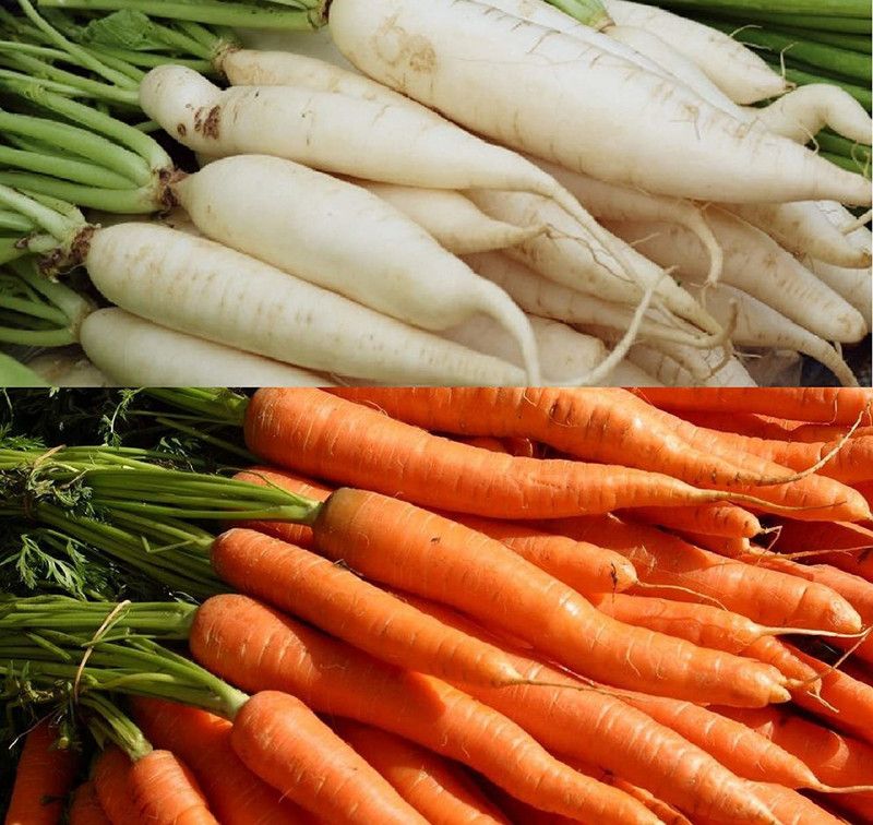 VibeX RDX-610 Combo Pack of Radish Seeds And Organic Carrot Seeds Seed  (900 per packet)