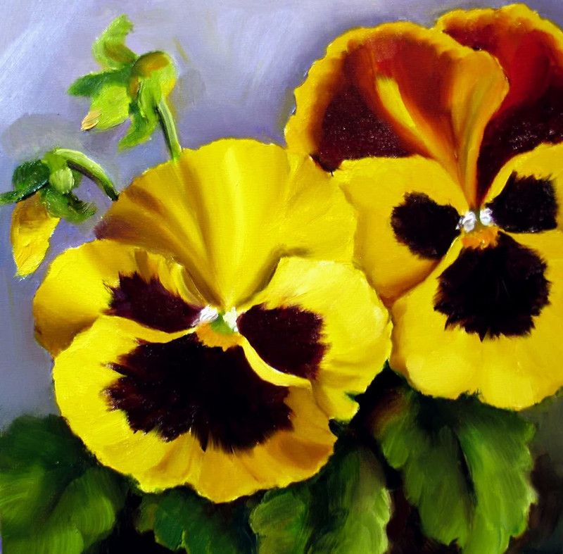 CYBEXIS Pansy Flower Seeds - Swiss Giant yellow with red seeds Seed  (50 per packet)